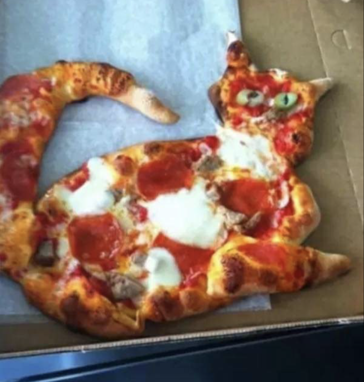 pizza-shaped cat meme
