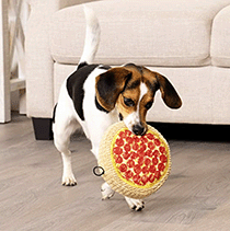 fun pizza dog toy