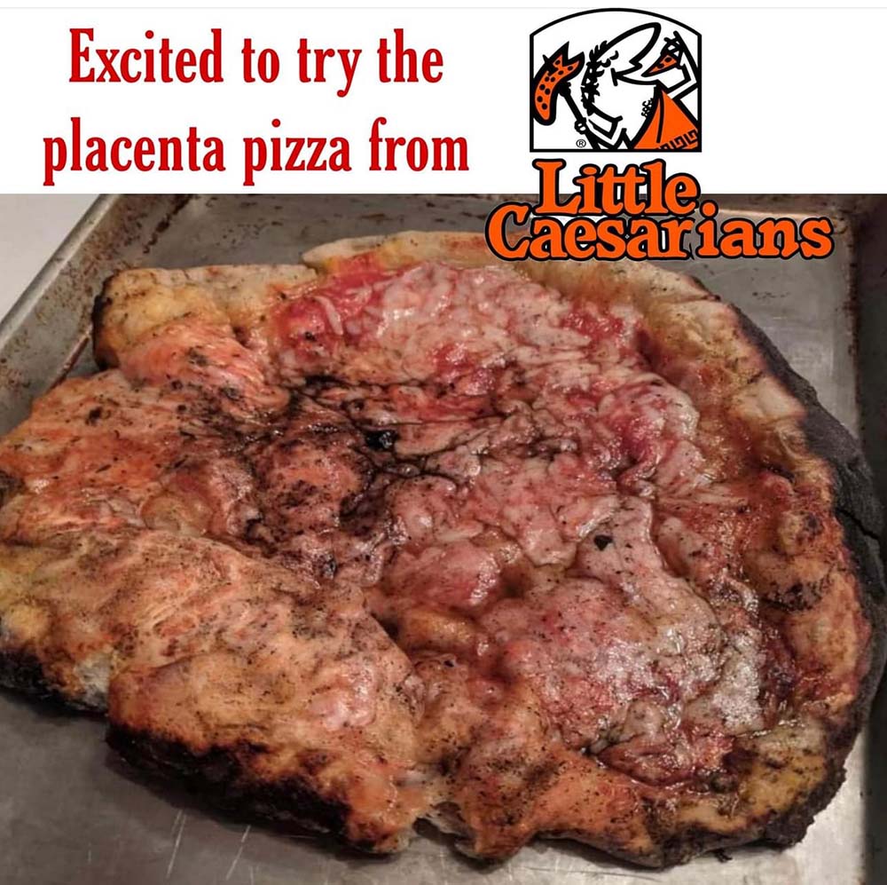 homemade pizza school pizza memes placenta pizza