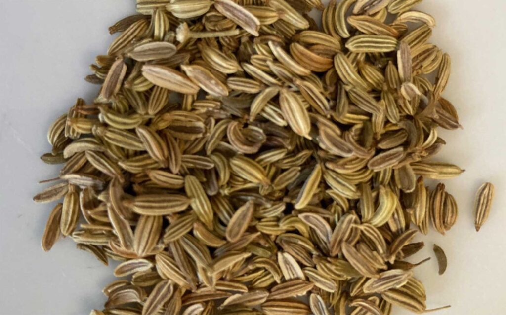 fennel seeds for homemade italian sausage