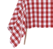 ny style red checkered table cloth