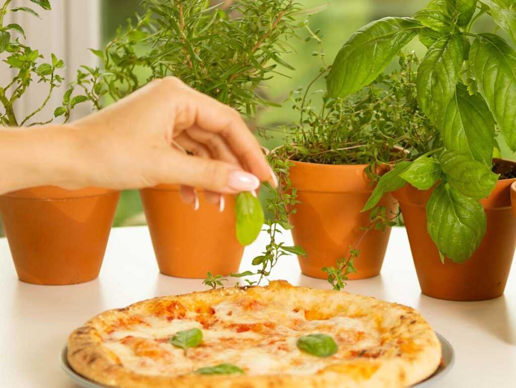 organic herbs for homemade pizza