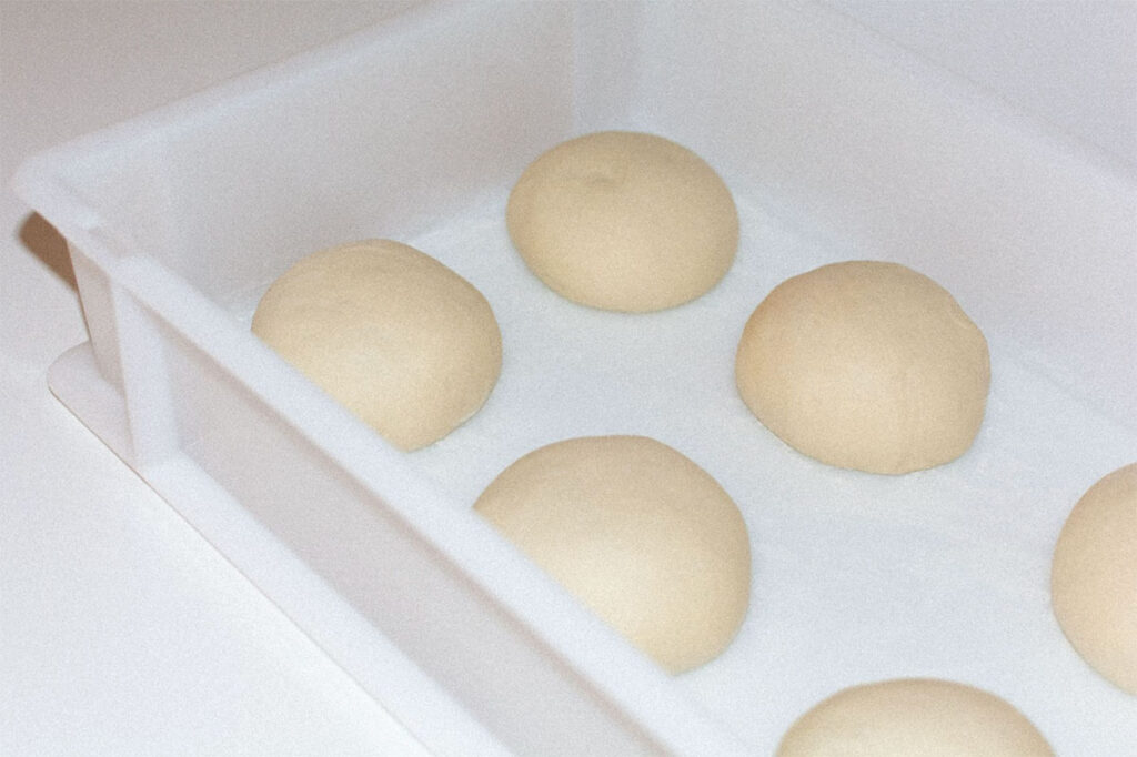 best dough proofing box