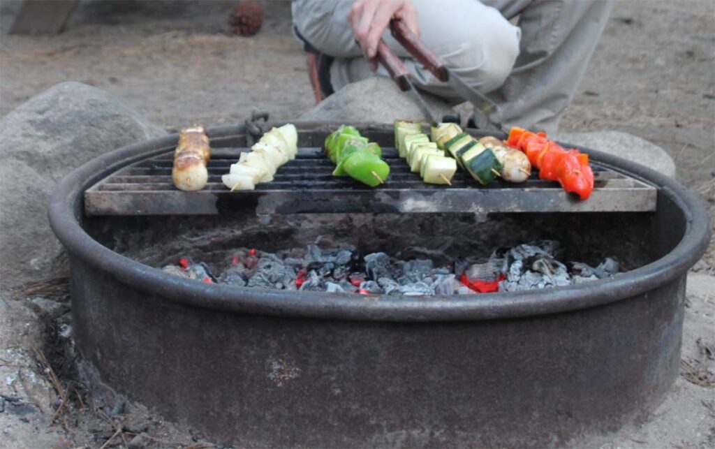 vegetable kebabs over campfire grill