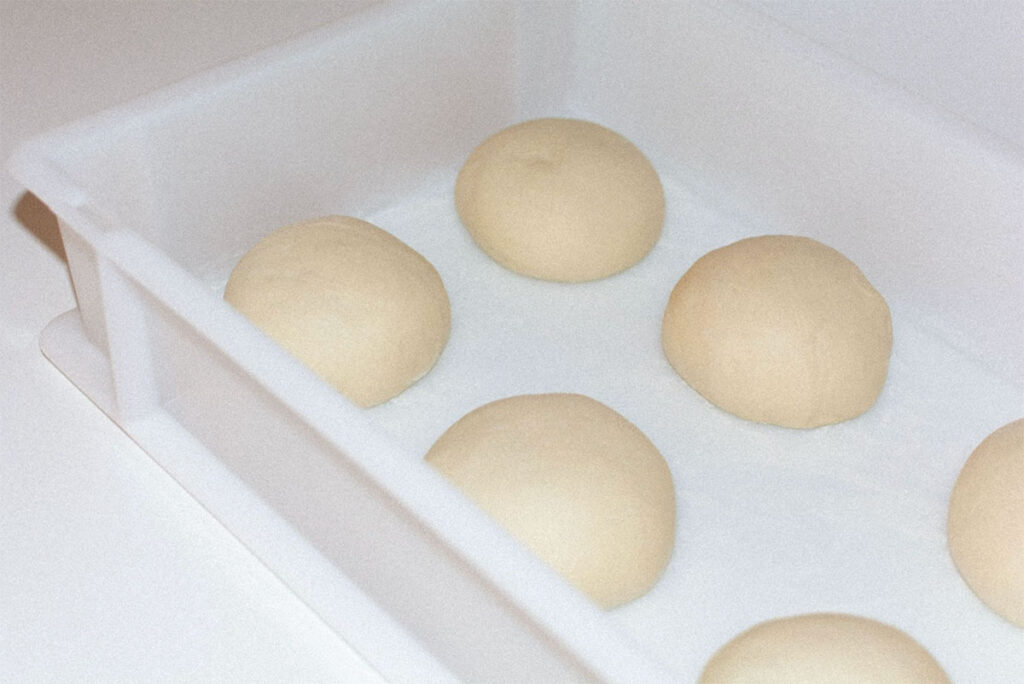 new dough proofing box